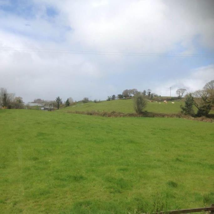 Killarney Farm House. Eksteriør billede